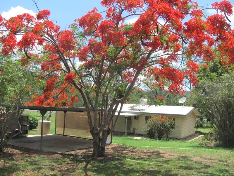 803 A Calliope River Road, West Stowe QLD 4680