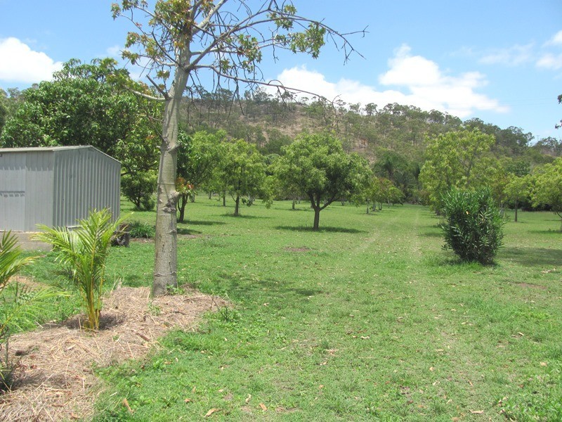 803 A Calliope River Road, West Stowe QLD 4680