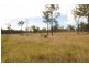 Lot 3 Mt Larcom – Bracewell Rd, Mount Larcom QLD 4695