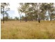 Lot 3 Mt Larcom – Bracewell Rd, Mount Larcom QLD 4695