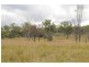 Lot 5 Mount Larcom – Bracewell Rd, Mount Larcom QLD 4695