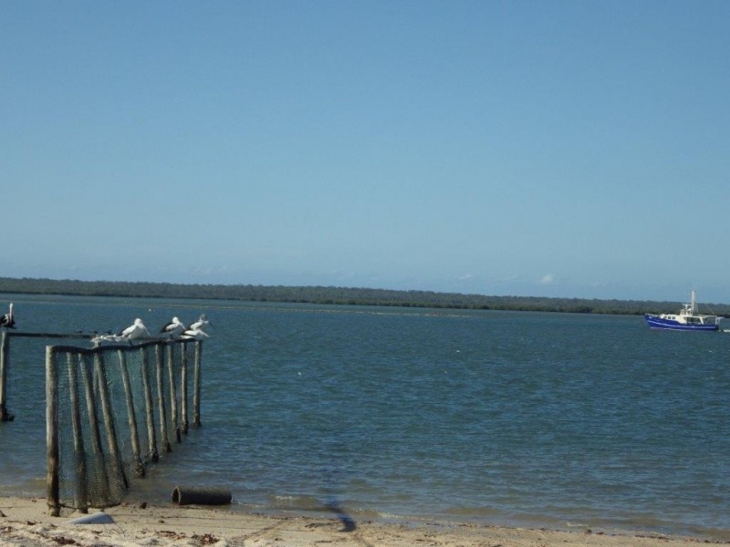 23 Coral Street, Turkey Beach QLD 4678