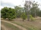 43242 Bruce Highway, Colosseum QLD 4677