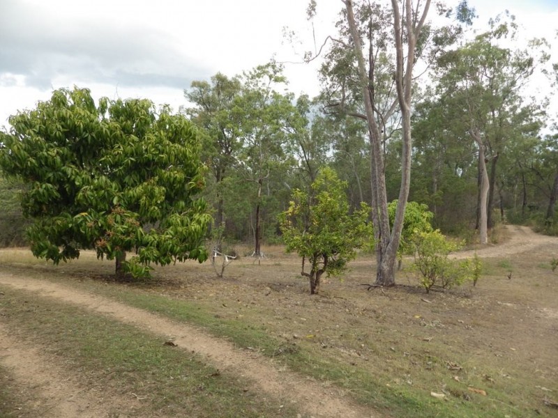 43242 Bruce Highway, Colosseum QLD 4677