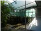 8 Wilkins Street, West Gladstone QLD 4680