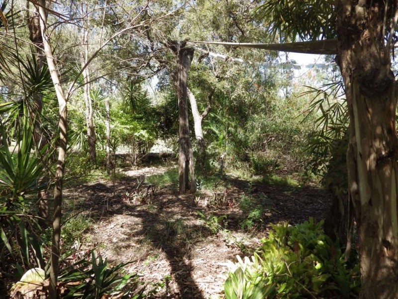 169 Messmate Drive, Miriam Vale QLD 4677