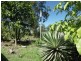 169 Messmate Drive, Miriam Vale QLD 4677