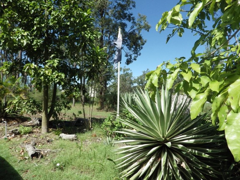 169 Messmate Drive, Miriam Vale QLD 4677