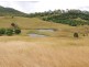 535 Spresser Road, Targinie QLD 4694