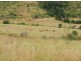535 Spresser Road, Targinie QLD 4694