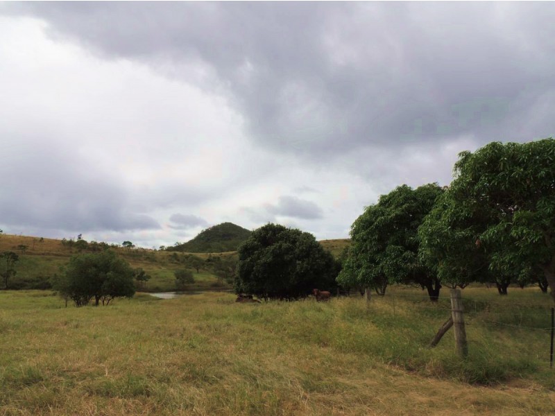 535 Spresser Road, Targinie QLD 4694