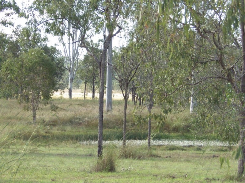 85 Scotts Road, Bororen QLD 4678