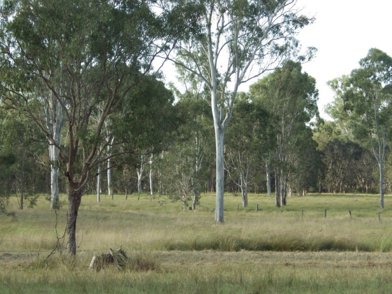 85 Scotts Road, Bororen QLD 4678