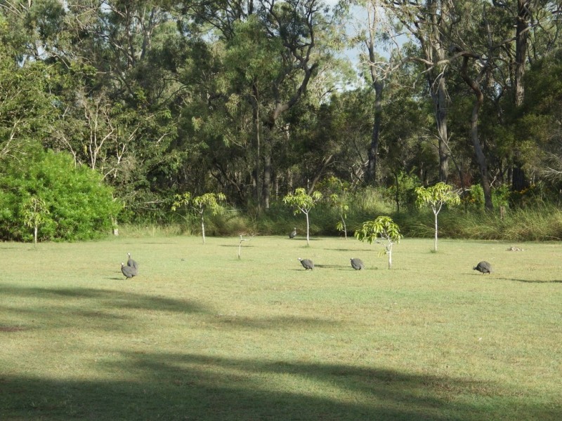 85 Scotts Road, Bororen QLD 4678