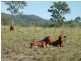 Bororen QLD 4678