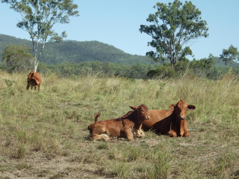 Bororen QLD 4678