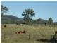 Bororen QLD 4678