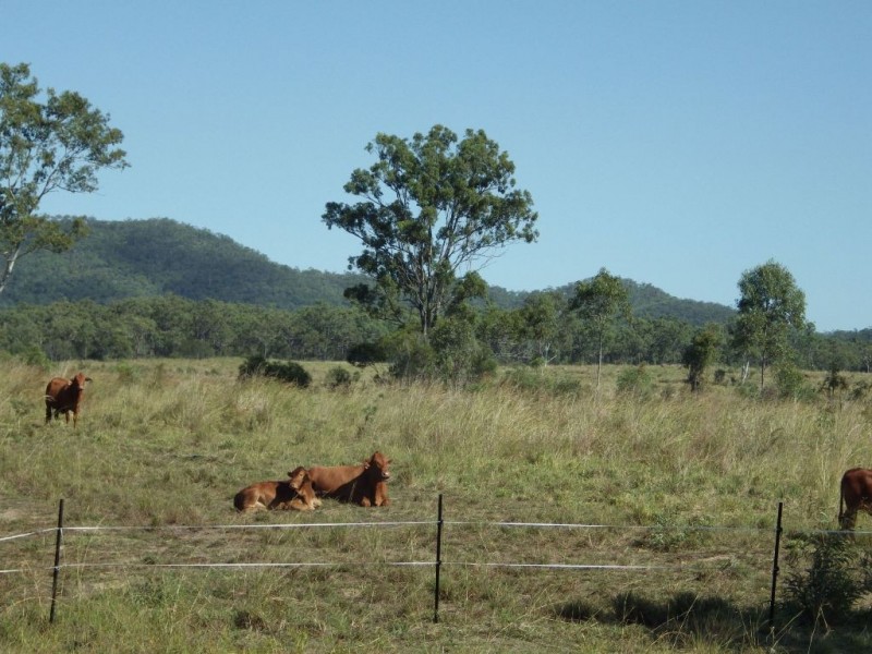 Bororen QLD 4678