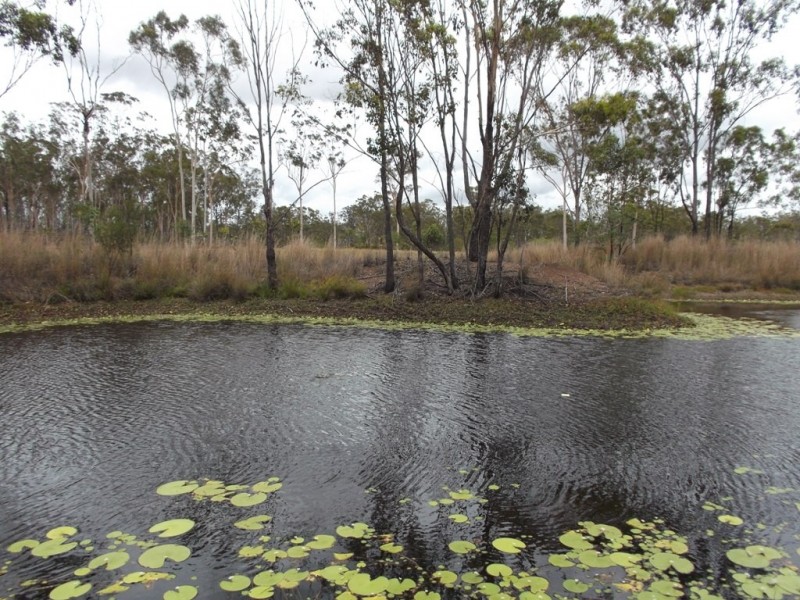 231 Awoonga Dam Road, Benaraby QLD 4680