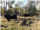 Miriam Vale QLD 4677