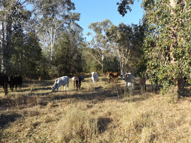 Miriam Vale QLD 4677