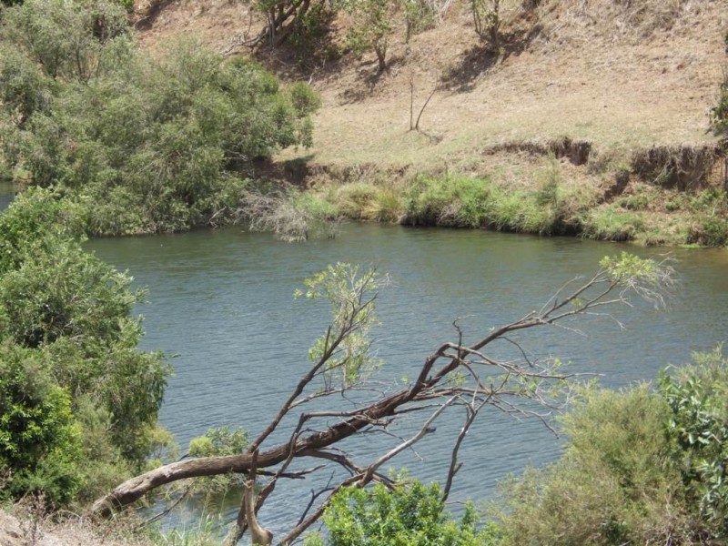 Ambrose QLD 4695