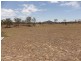 Ambrose QLD 4695