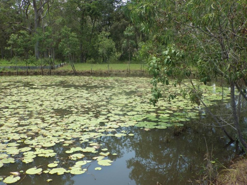 350 Bells Road, Turkey Beach QLD 4678