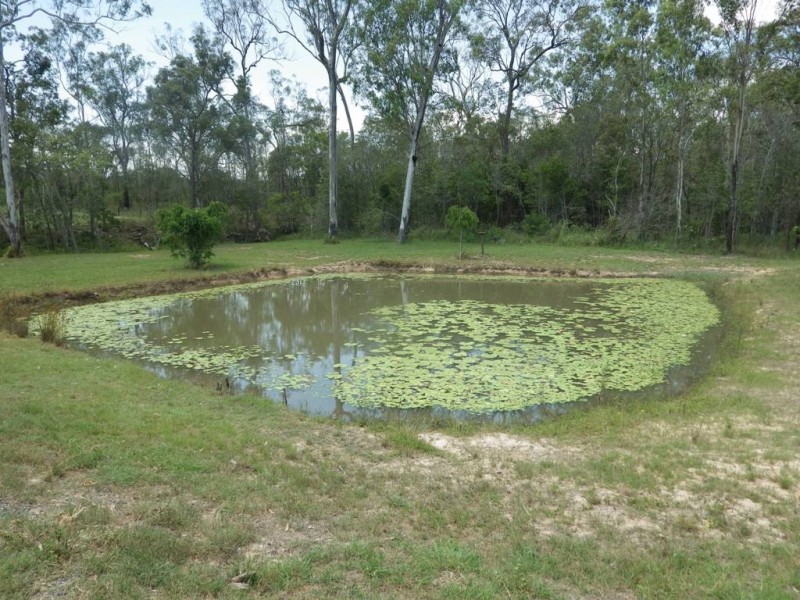 350 Bells Road, Turkey Beach QLD 4678