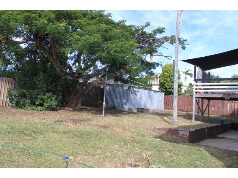 19 Schafer Street, Clinton QLD 4680
