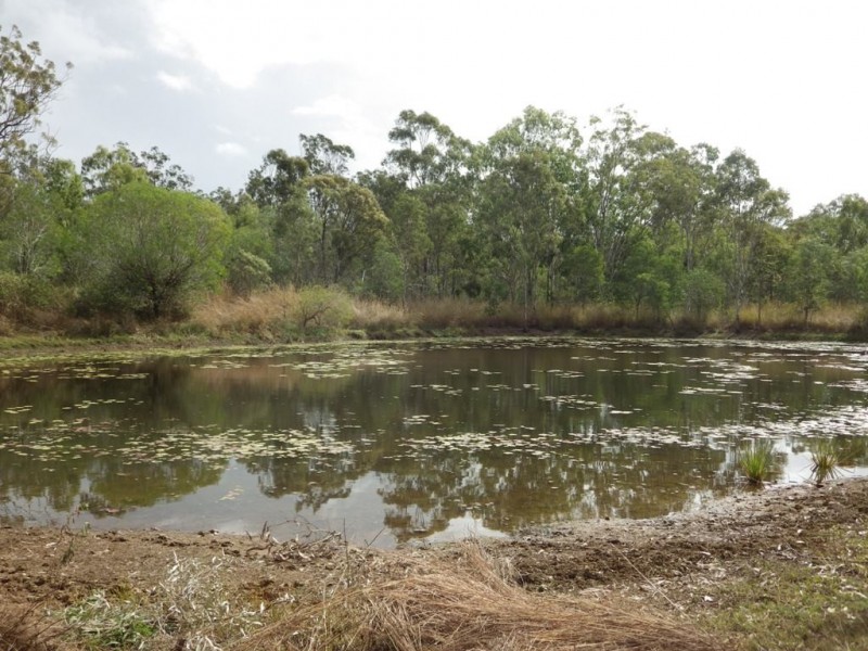 213 Old Ten Chain Road, Calliope QLD 4680