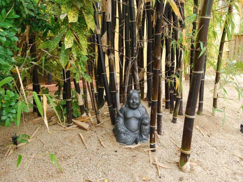 4 Heferen Crescent, Black River QLD 4818