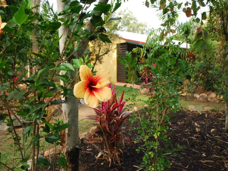 4 Heferen Crescent, Black River QLD 4818