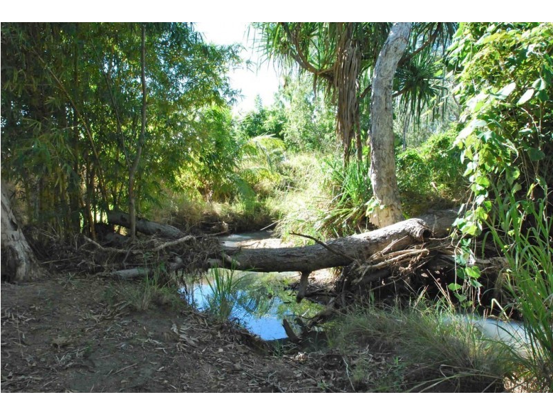 35812 BRUCE HIGHWAY, Nome QLD 4816