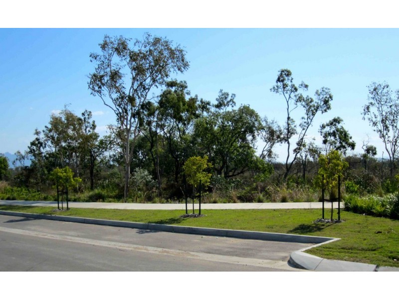 73 Ellsworth Drive, Mount Louisa QLD 4814