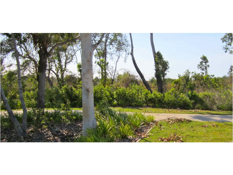 65 Ellsworth Drive, Mount Louisa QLD 4814