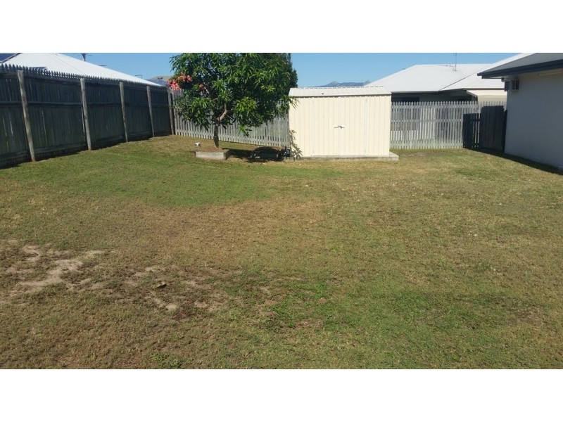 66 Franklin Drive, Mount Louisa QLD 4814