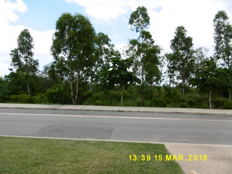 67 Ellsworth Drive (Greenview Estate), Mount Louisa QLD 4814