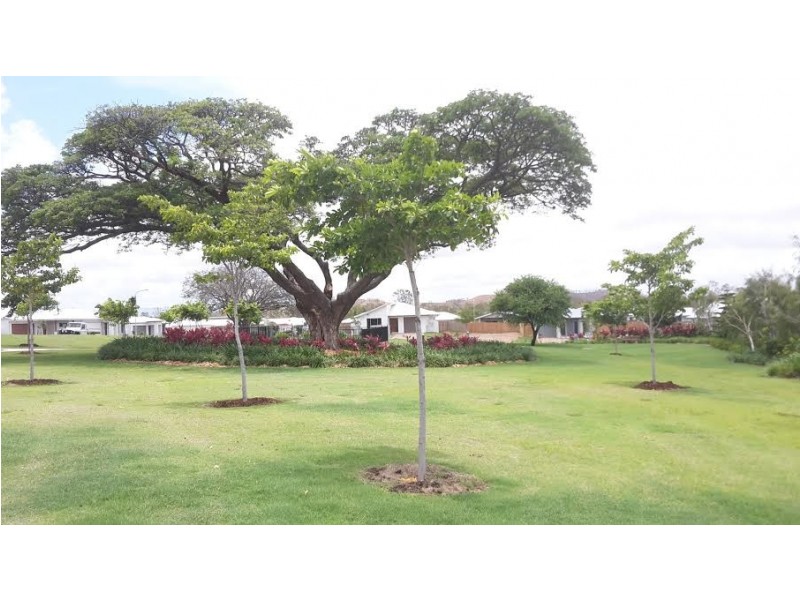 32 Mesa, Mount Louisa QLD 4814