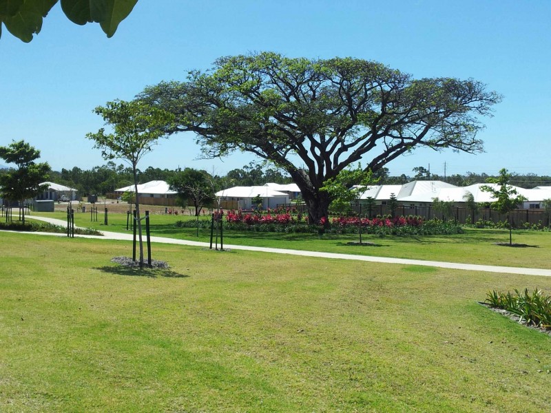 79 Monolith Cct, Mount Louisa QLD 4814