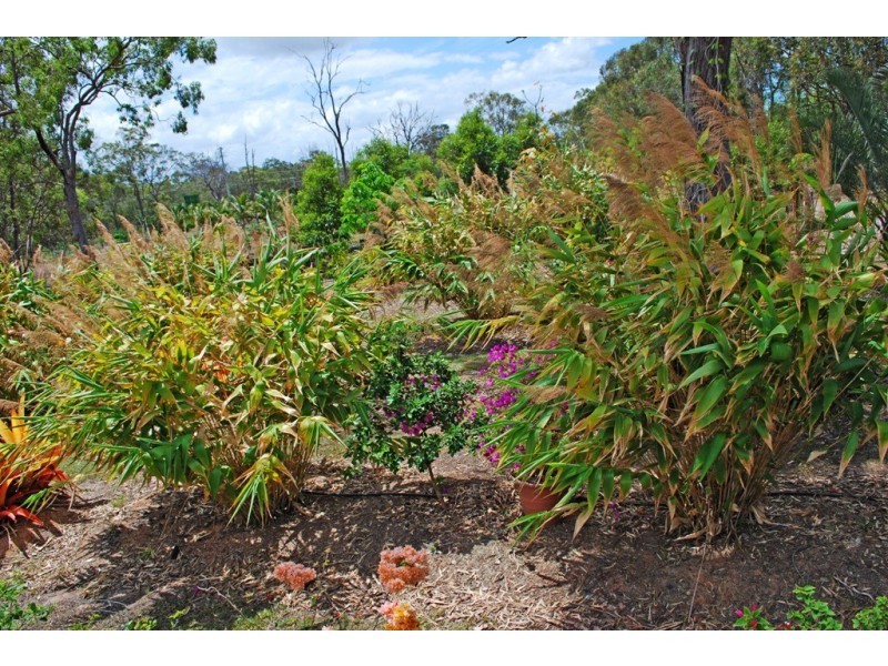 1245 Childers Rd, Branyan QLD 4670