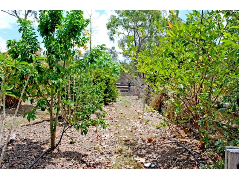 1245 Childers Rd, Branyan QLD 4670