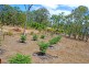 1245 Childers Rd, Branyan QLD 4670