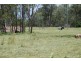 1245 Childers Rd, Branyan QLD 4670
