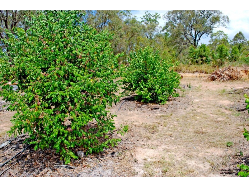 1245 Childers Rd, Branyan QLD 4670