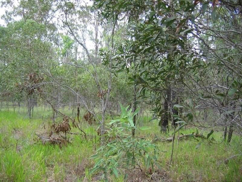 51 Billabong Way, Bucca QLD 4670