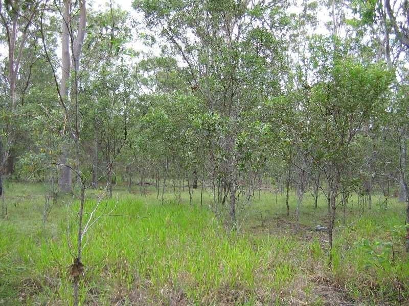 51 Billabong Way, Bucca QLD 4670