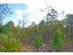 39 Greg Tobin Crt, Avondale QLD 4670