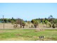 3 Byron St, Burnett Heads QLD 4670