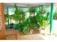 437 Gooburrum Rd, Welcome Creek QLD 4670